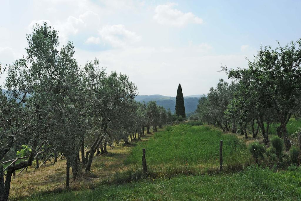 Borgo Rapale Villa Exterior photo